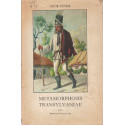Metamorphosis Transylvaniae