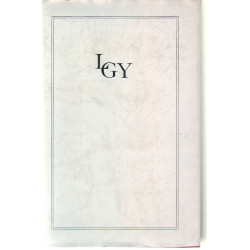 A heidelbergi művészetfilozófia és esztétika - A regény elmélete