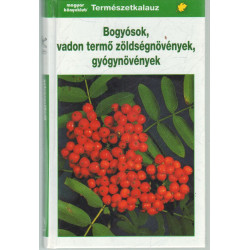 Bogyósok, vadon termő zöldségnövények, gyógynövények