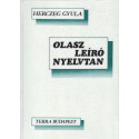 Olasz leíró nyelvtan