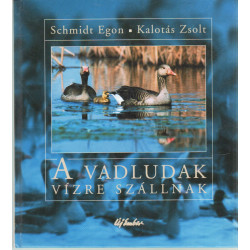 A vadludak vízre szállnak