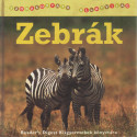 Zebrák (2005)