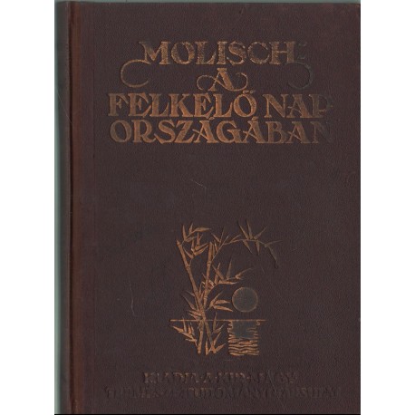 A felkelő nap országában