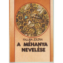 A méhanya nevelése