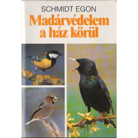 Madárvédelem a ház körül