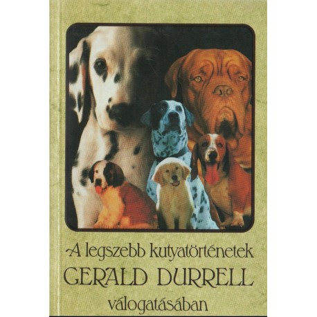 A legszebb kutyatörténetek