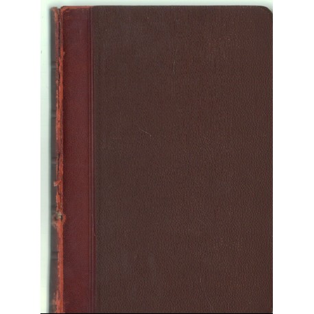 Magyar és német kézi szótár I-II. kötet