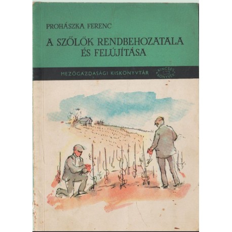 A szőlők rendbehozatala és felújítása