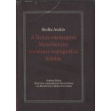 A Békés vármegyei Mezőberény történeti-topográfiai leírása