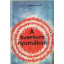 A kvantum nyomában