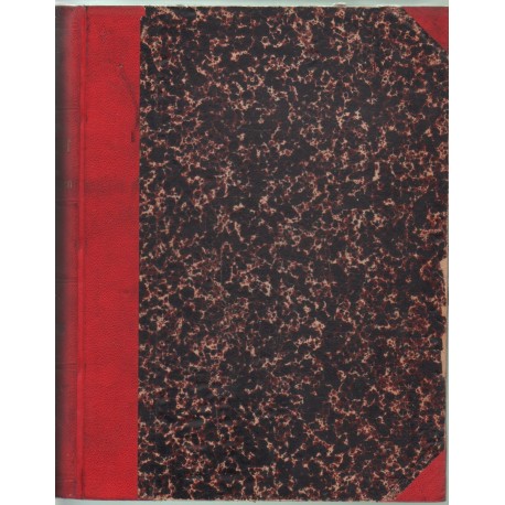 Az Osztrák-Magyar Monarchia írásban és képben VIII. kötet