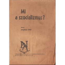 Mi a szocializmus?