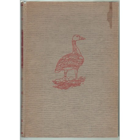 Die Liebesgeschichte einer Wildgans