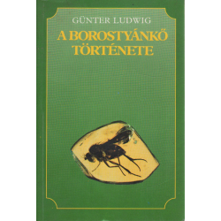 A borostyánkő története