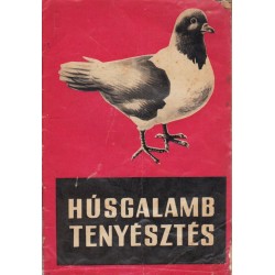 Húsgalambtenyésztés