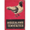 Húsgalambtenyésztés
