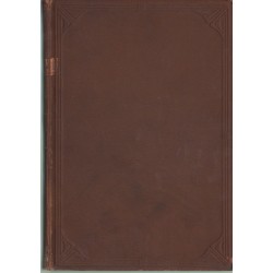 A konzuli biráskodás intézménye