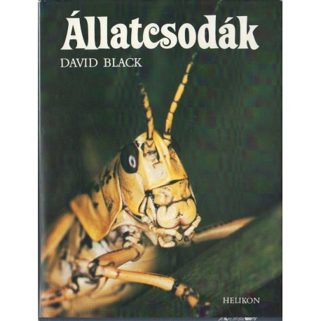 Állatcsodák