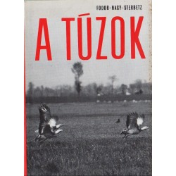 A túzok