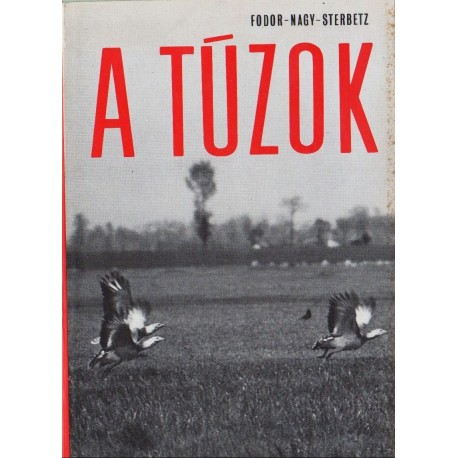 A túzok
