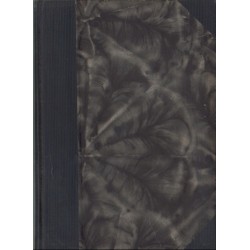 A mexikói vérfürdő