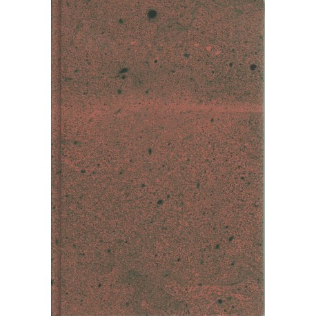 Az 1873-ik évi cholera-járvány Békésmegyében