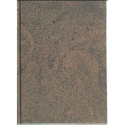 Szarvas város történelme