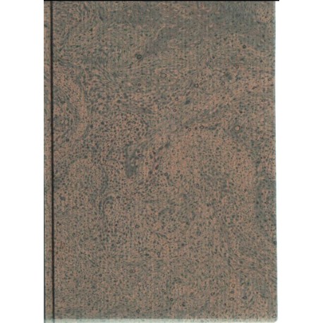 Szarvas város történelme