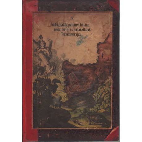 A hüllők, halak, puhány-, héjanc-, robar-, féreg- és sugárállatok természetrajza képekben