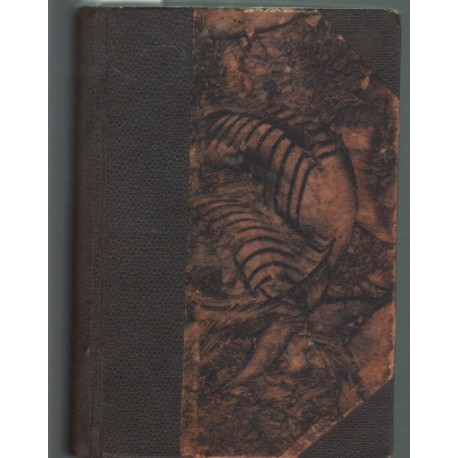 Magyar utazók Olaszországban - Nászúton - Légyott hármasban - A gavallérok (4 mű egyben)