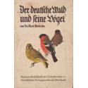 Der deutsche Wald und seine Vögel