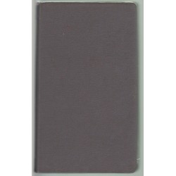 Temesvár városi térképe 1959