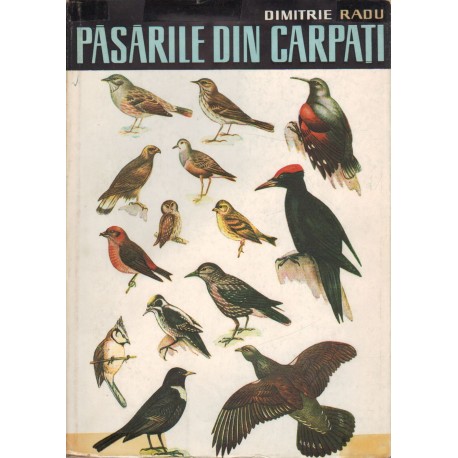 Pásárile din Carpati