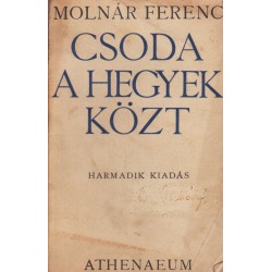 Csoda a hegyek közt