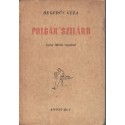 Polgár Szilárd
