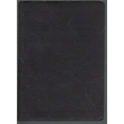 Az ájtatos és ügyes minisztráns fiú