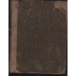 Die jungen Canoéros des Amazonen-Stroms