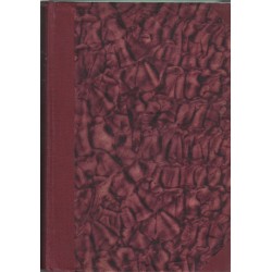 Illem-kódex papok és szerzetesek számára I. kötet