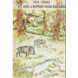 Ott, ahol a Koppány-patak kanyarog