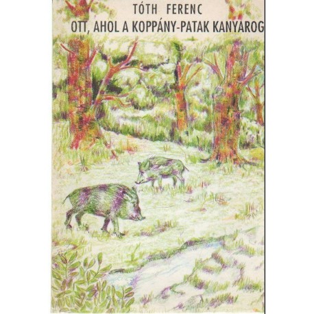 Ott, ahol a Koppány-patak kanyarog