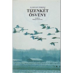Tizenkét ösvény