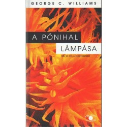 A pónihal lámpása