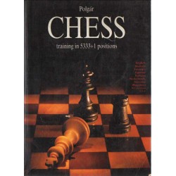 Chess training in 5333+1 positions