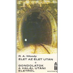 Élet az élet után