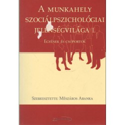 A munkahely szociálpszichológiai jelenségvilága I.
