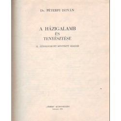 A házigalamb és tenyésztése