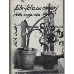 "Fűbe-fába az orvosság!" (Békés megyei népi orvoslás) I. kötet