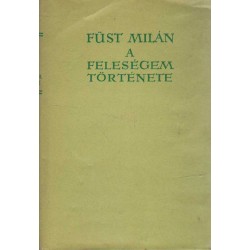 A feleségem története