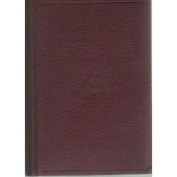 San Michele regénye I-II. kötet egyben