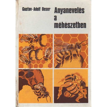 Anyanevelés a méhészetben